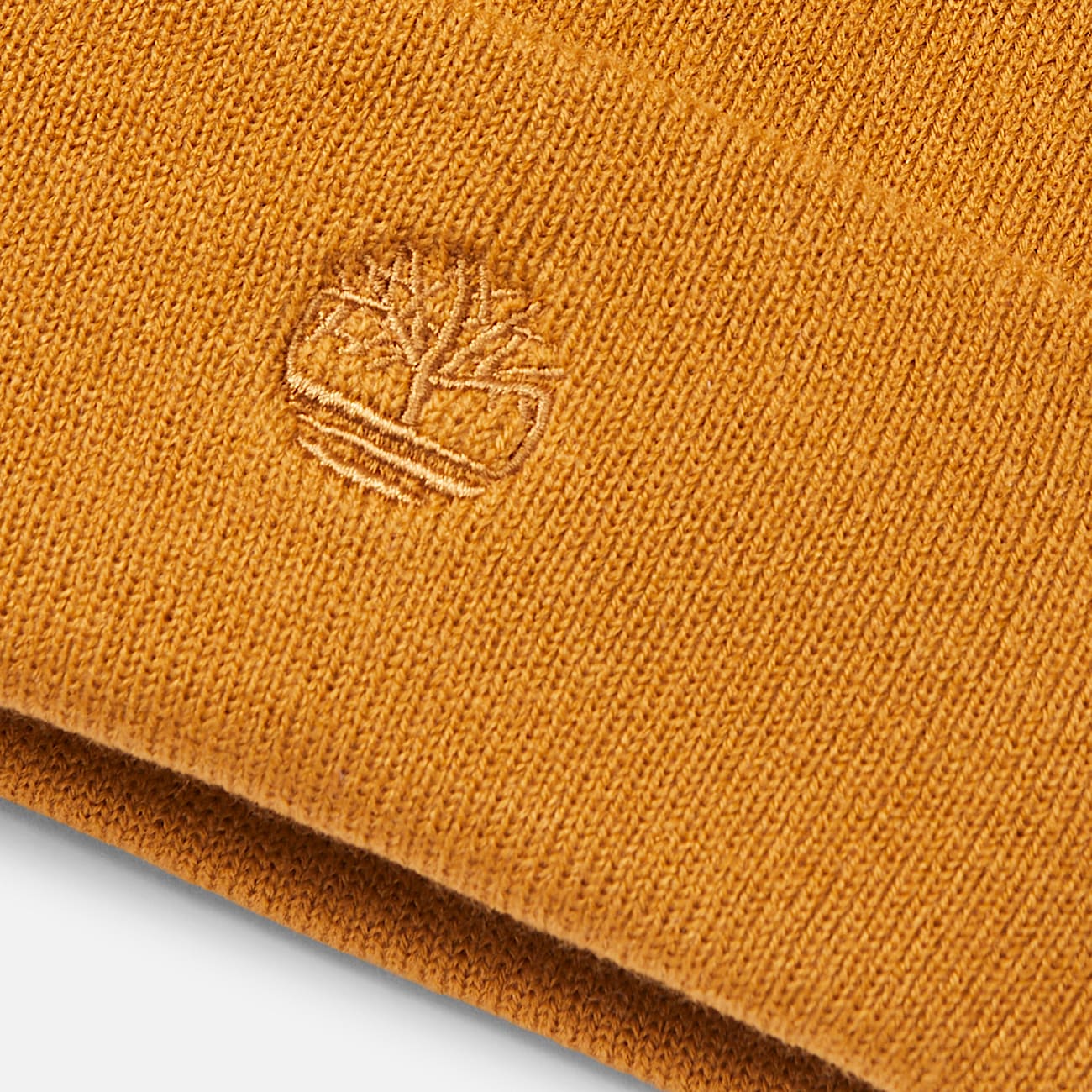 Tonal Embroidery Beanie for Men in Orange