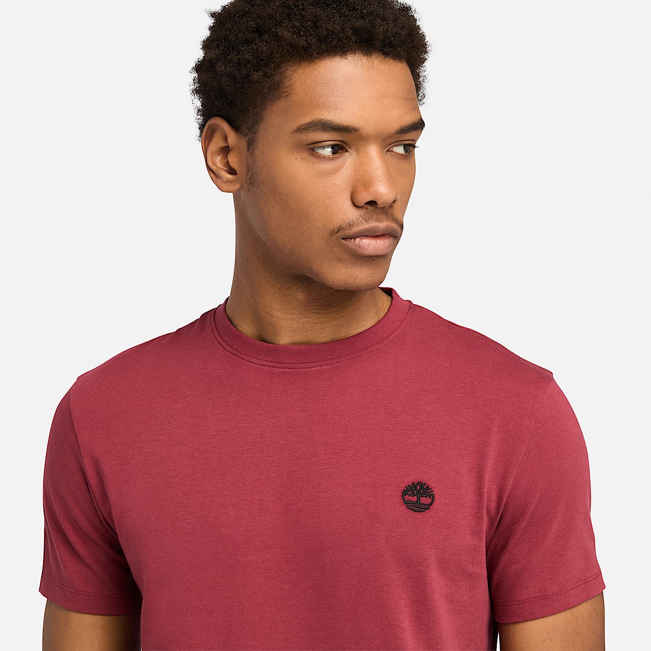 Dunstan River T Shirt for Men in Red