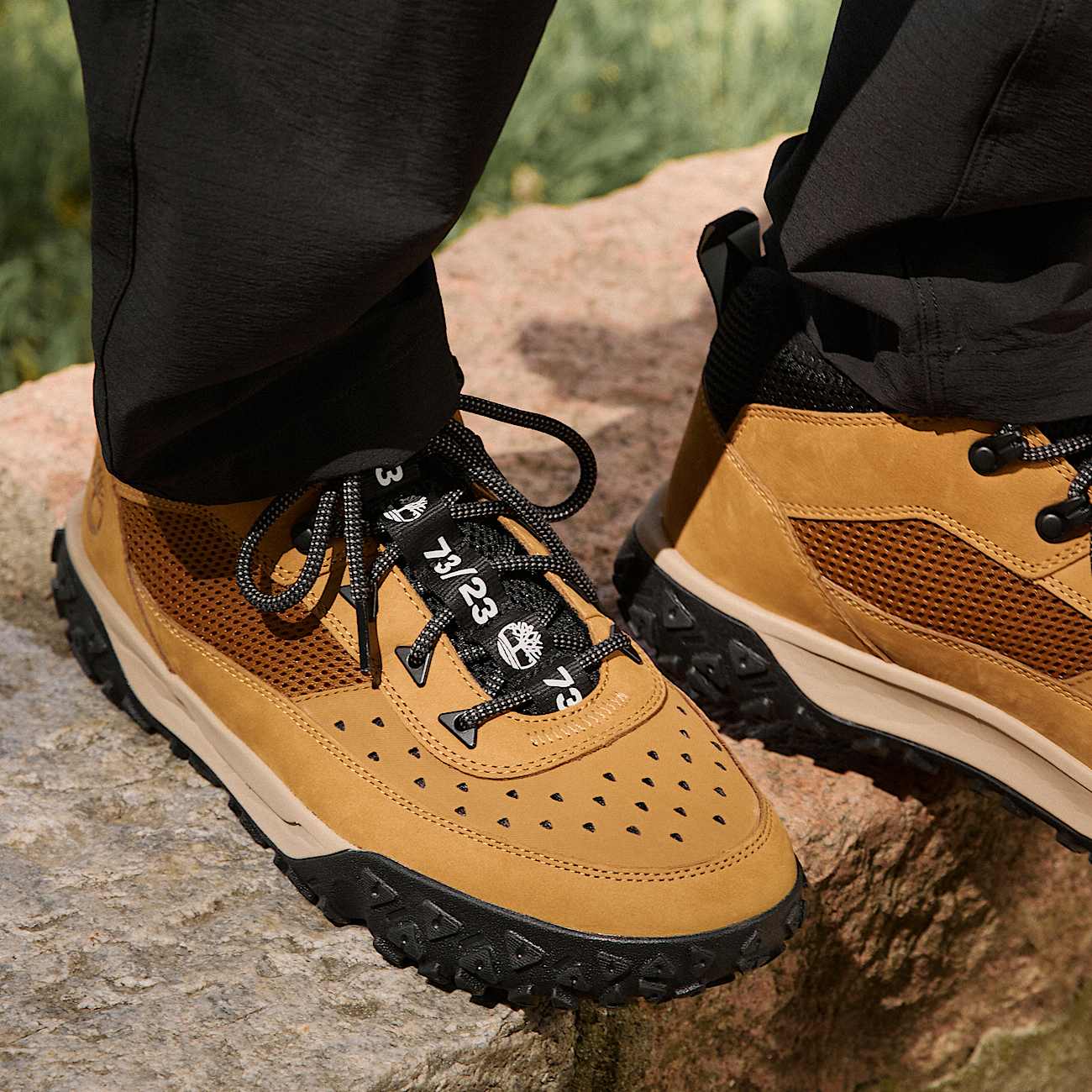 Timberland sneakers basse uomo hot sale